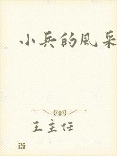 小兵的风采封面