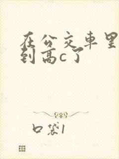 在公交车里c弄到高c了封面