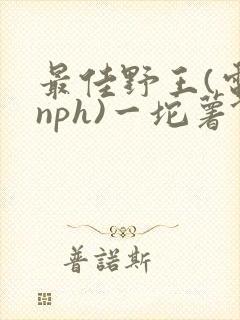 最佳野王(电竞nph)一坨薯饼