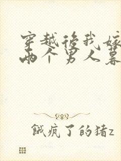 穿越后我嫁给了两个男人暮色酒歌