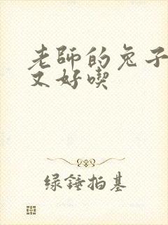 老师的兔子又大又好吃封面