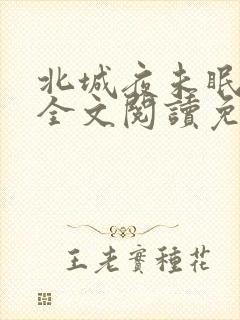 北城夜未眠小说全文阅读免费