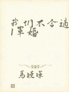 我们不合适1v1军婚封面