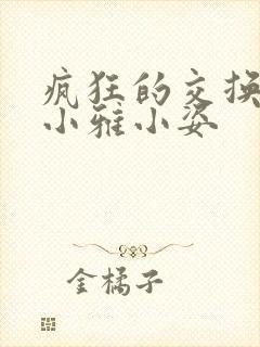 疯狂的交换小静小雅小姿