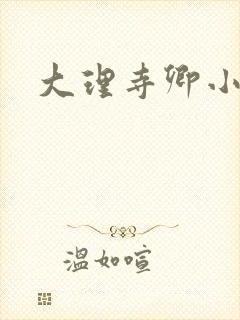 大理寺卿小说封面