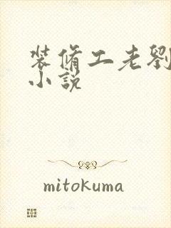 装修工老刘林雪小说