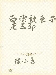 白洁被东子老二老三3p封面