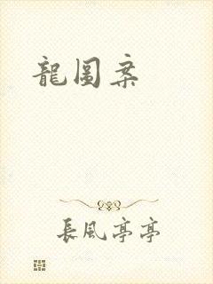 龙图案封面