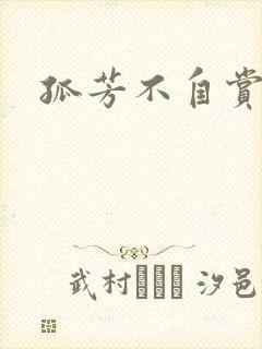 孤芳不自赏小说封面