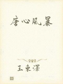 唐心风暴封面