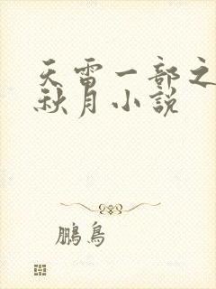 天雷一部之春花秋月小说