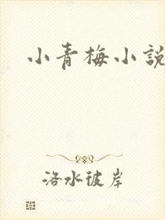 小青梅小说