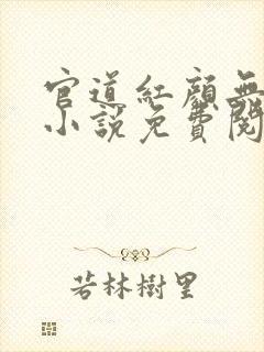 官道红颜无删减小说免费阅读全文封面