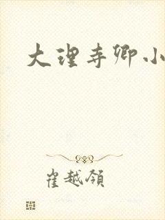 大理寺卿小说封面