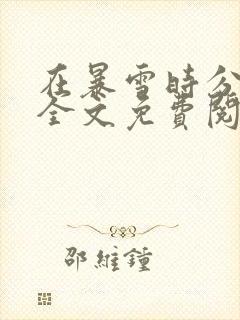 在暴雪时分小说全文免费阅读封面