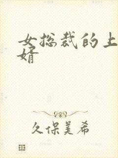 女总裁的上门女婿