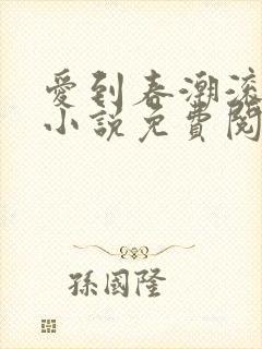 爱到春潮滚滚来小说免费阅读