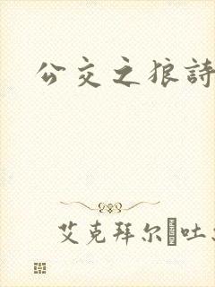 公交之狼诗晴封面