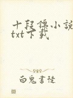 十段锦小说全本txt下载
