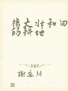 杨大壮和田桂花的耕地