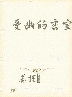爱幽的密室小说