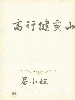 高行健灵山封面