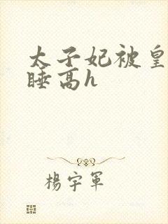 太子妃被皇上强睡高h