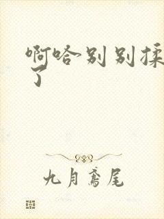 啊哈别别揉那处了