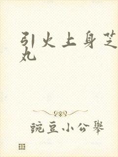 引火上身芝麻糖丸封面