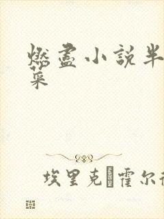 燃尽小说半截白菜封面