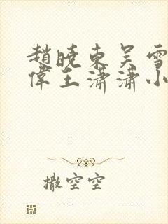 赵晓东吴雪晴郑伟王潇潇小说