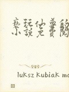 亵玩仙尊的道侣小说免费阅读