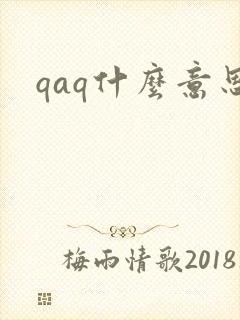 qaq什么意思封面