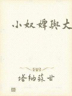 小奴婢与大少爷封面