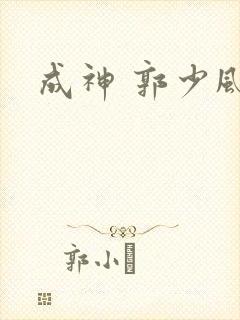 成神 郭少风封面