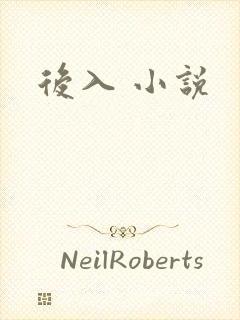 后入 小说