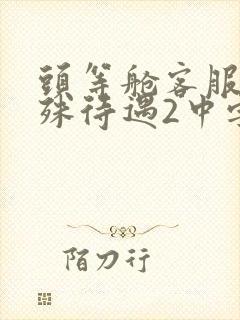 头等舱客服的特殊待遇2中字