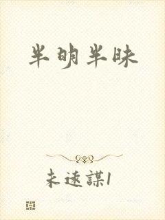 半明半昧