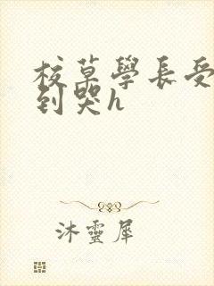 校草学长受被做到哭h