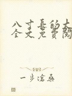 八寸长的大宝贝全文免费阅读