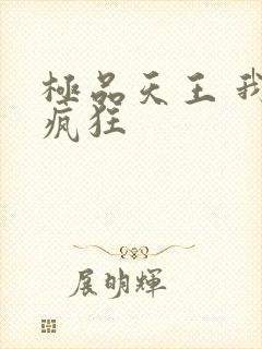 极品天王 我本疯狂