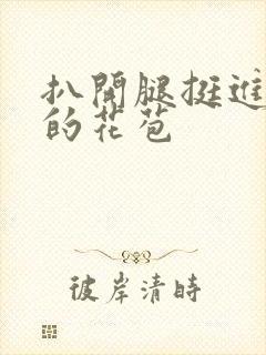 扒开腿挺进湿润的花苞