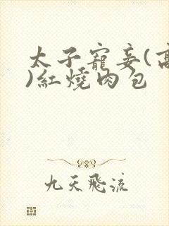 太子宠妾(高肉)红烧肉包