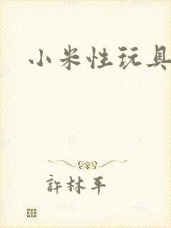 小米性玩具日记