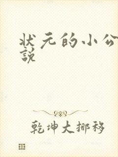 状元的小公主小说