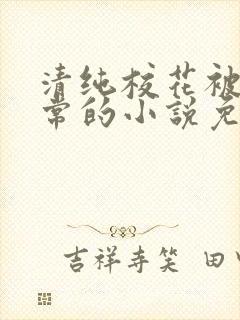 清纯校花被擒日常的小说免费阅读