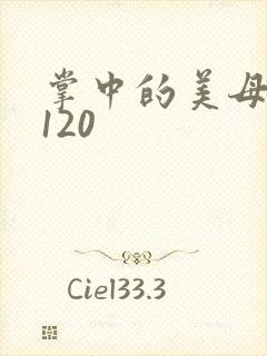 掌中的美母版主120封面