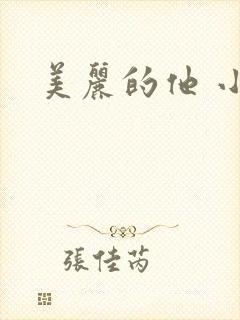 美丽的他 小说
