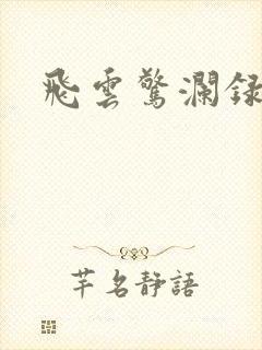 飞云惊澜录