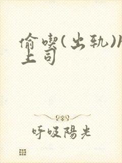 偷吃(出轨)h上司